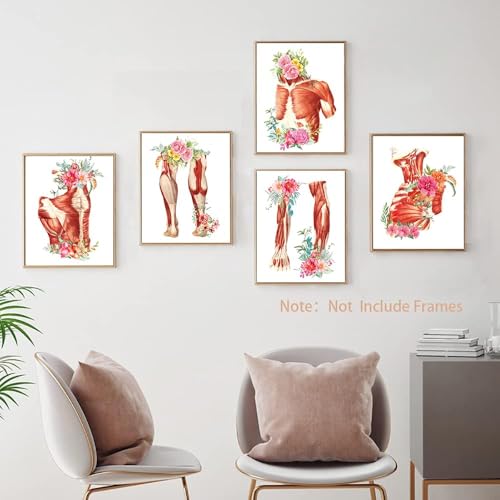 Image of TANXM Unframed Muscle Anatomy Canvas Wall Art Set of 6 | Watercolor Human Physiology Medical Decor for Clinic Study Room, Educational Prints, 8x10 Inch