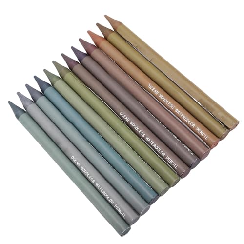 Bolígrafos de Dibujo sin Madera, Escritura Más Suave, Fácil de Mezclar, Bolígrafo Artístico de 12 Colores, Diseño Portátil para Pintar y Dibujar (Tipo 2)