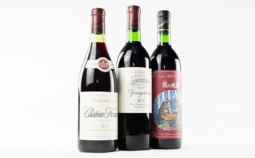 ふらのワイン赤 720ml×3本セット (お酒 酒 ワイン ぶどう 飲み物 アルコール 北海道 道産 富良野市 ふらの)