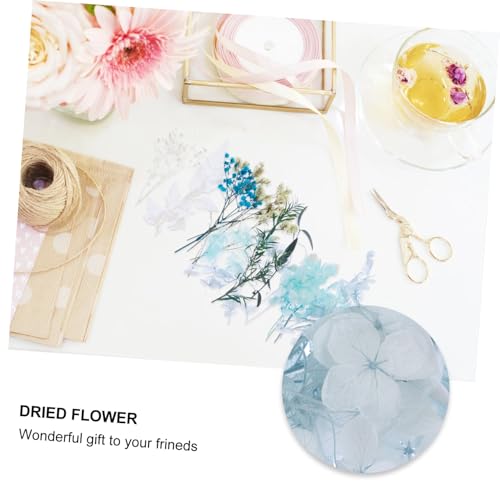Material de Flores Secas Naturales para Manualidades DIY miniatura 6