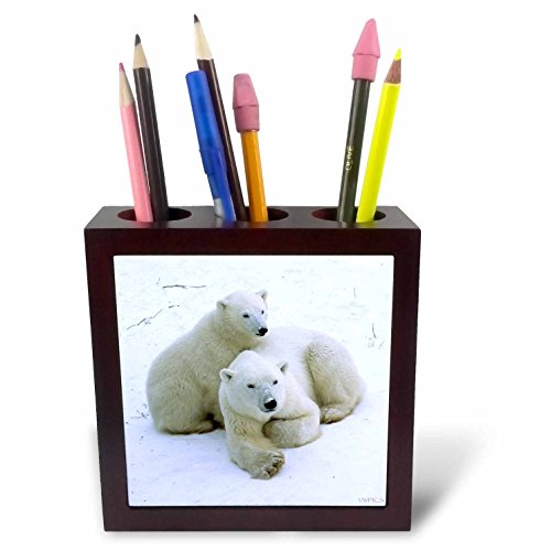 3dRose Polar Bear Mother and cub.(Ursus Maritimes).Churchill, Canada Tile Pen Holder, 5" (ph_45685_1)