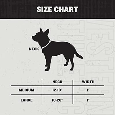 Hooey Nomad Dog Collar, Durable Polyester Webbing Collar with Graphic-Inspired Print, Beluga Monterey, Small