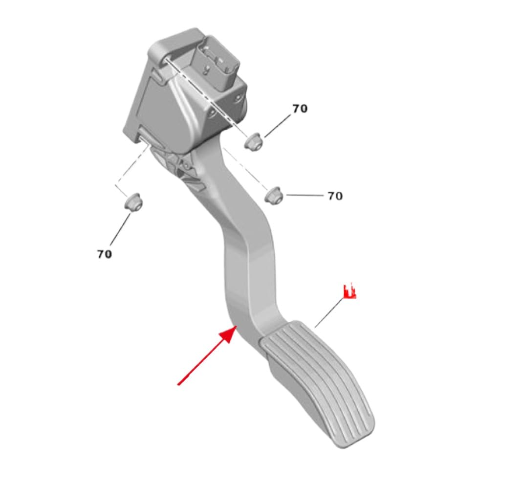 Accelerator Pedal Assembly 1601CW Compatible with 207 301 2008 308 C3 C4 Elysee DS3