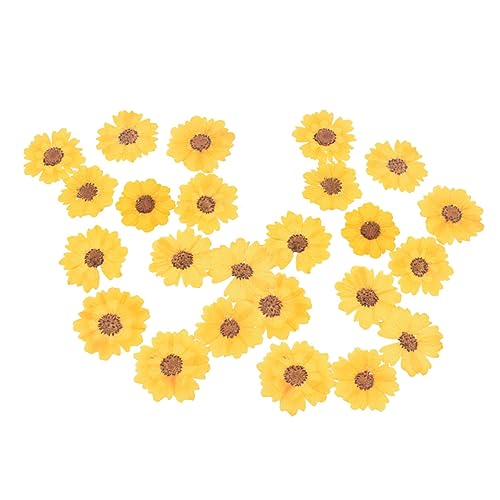 24 unidades flores secas naturales para manualidades miniatura 1