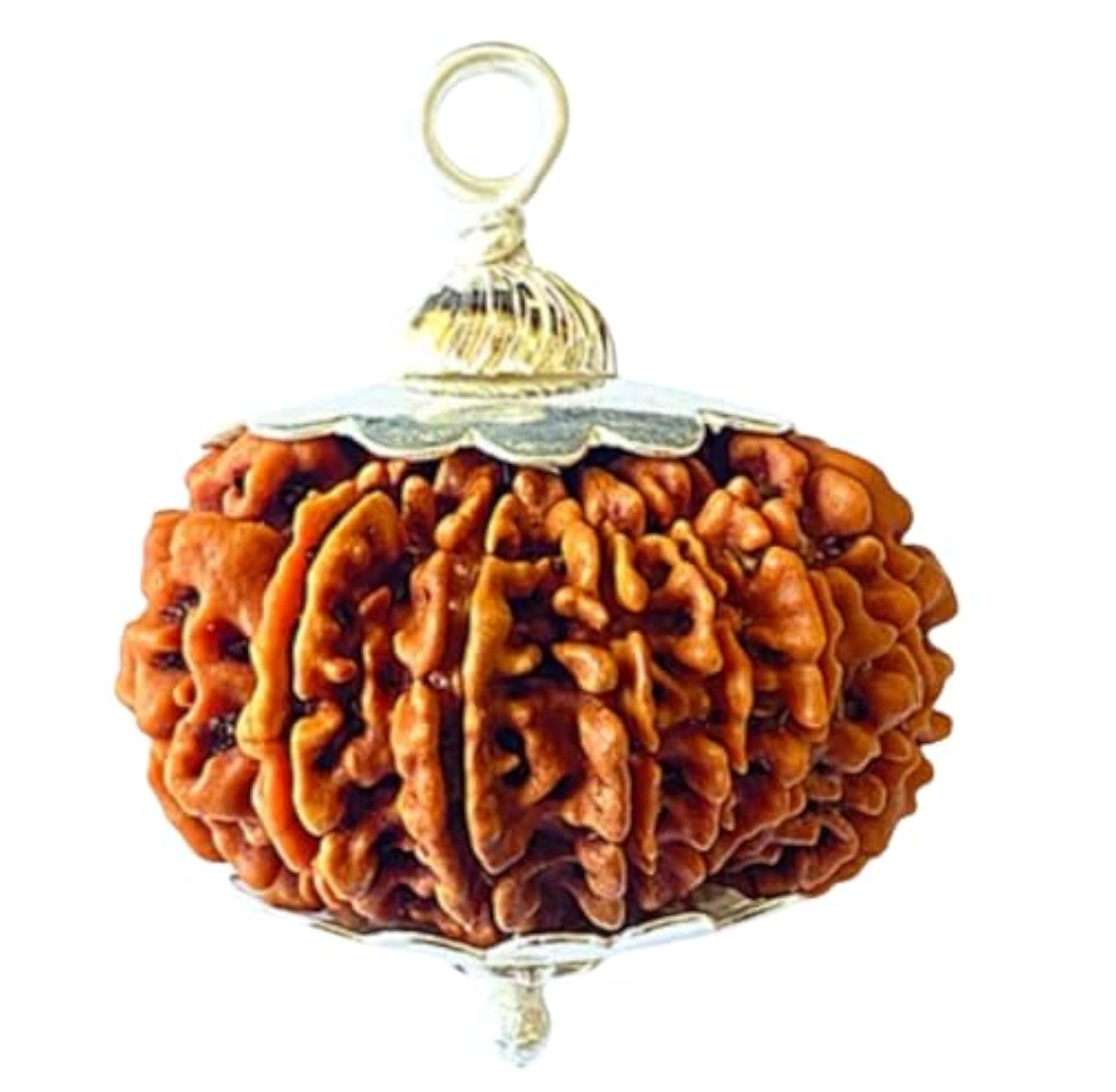 18 Mukhi Rudraksha Original Certified Blessed by Goddess Katyayani Devi