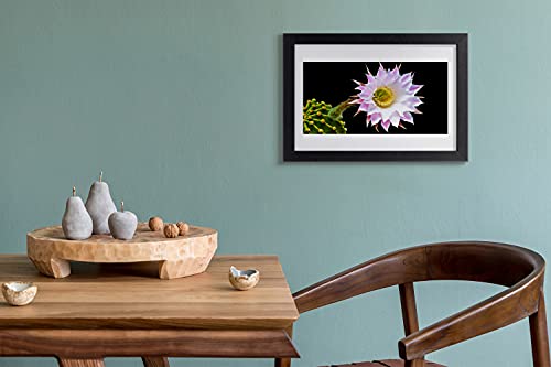 Affiche fleur encadrée 30x20 cm Tulup pour décoration murale