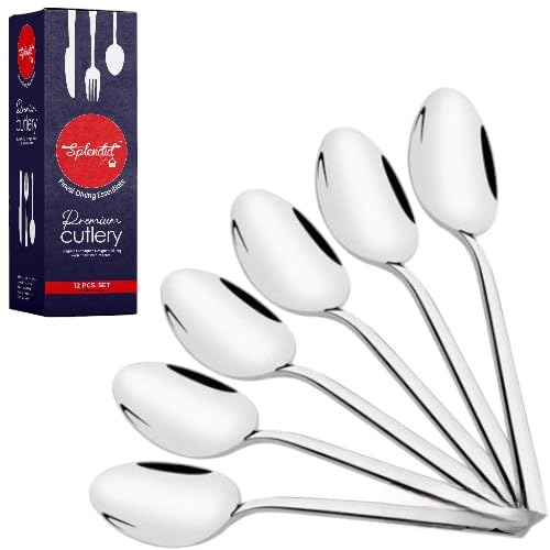 Culinary Craft Stainless Steel Spoon Set of 12, Heavy Gauge, Anti Rust, Mirror Finish (16 cm, 12)