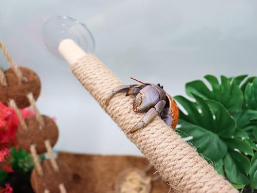 Image of Hermit Crab Climbing Toys, Wooden Hermit Crab Bridge with 2 Suction Cups, Hermit Crab Supplies, Cage Habitat Accessories for Hermit Crab