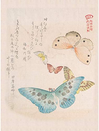 Fine Art PrintsKubo Shunman Moths And Butterflies Canvas Premium Wall Decor Poster