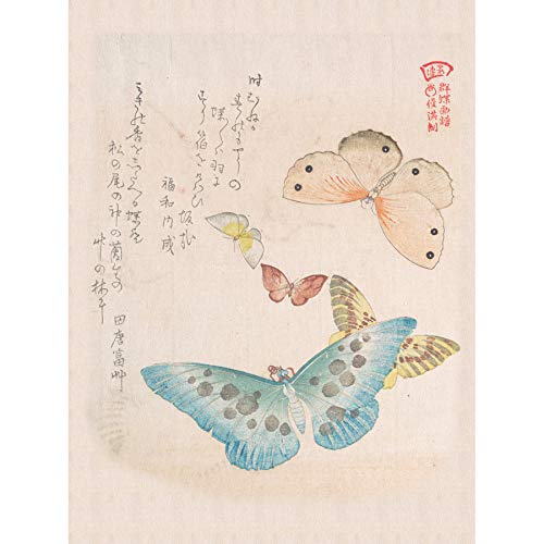 Fine Art PrintsKubo Shunman Moths And Butterflies Canvas Premium Wall Decor Poster