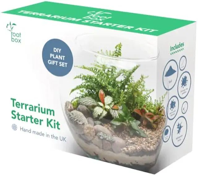 Large DIY Terrarium Kit for Adults - Clearance Scented Gift Box with Succulents