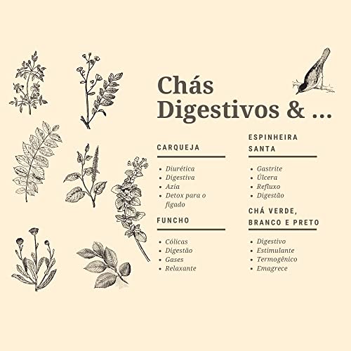 Chá de Capim-Cidreira – Orgânico (10 sachês) – Campo Verde