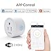 Avatar Controls Smart Plugs Wi-Fi Outlet 4 Pack - Smart Plugs That Work with Alexa/Google Home/Smart Life, Timer ON/Off Plug, Schedule Built-in App, Mini Wireless Socket, No Hub Required