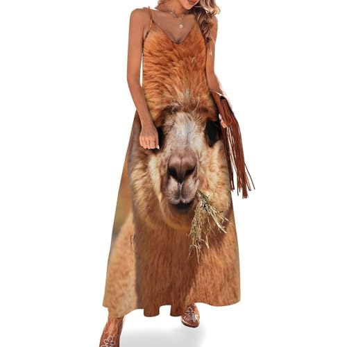 Robe longue femme ete sans manches robe maxi voyages plage chic