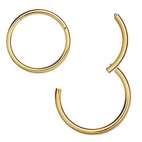 MissNity 316L Surgical Steel Hinged Nose Rings Hoop 18G 18 Guage Clicker Segment Nose Hoop, 14K Gold, 6mm