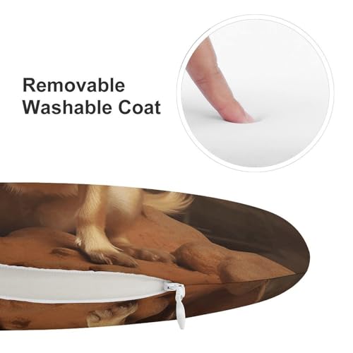 Coussin de chaise rond en mousse de qualité supérieure Chihuahua