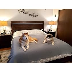 Protector Edredon Impermeable SILLY LEGACY Funda Protectora Reversible e Impermeable Cama, el Sofá, los Muebles, para Perros, Gatos y Otras Mascotas Revoltosas; también para niños (Grande/King, 208 x 254 cm)