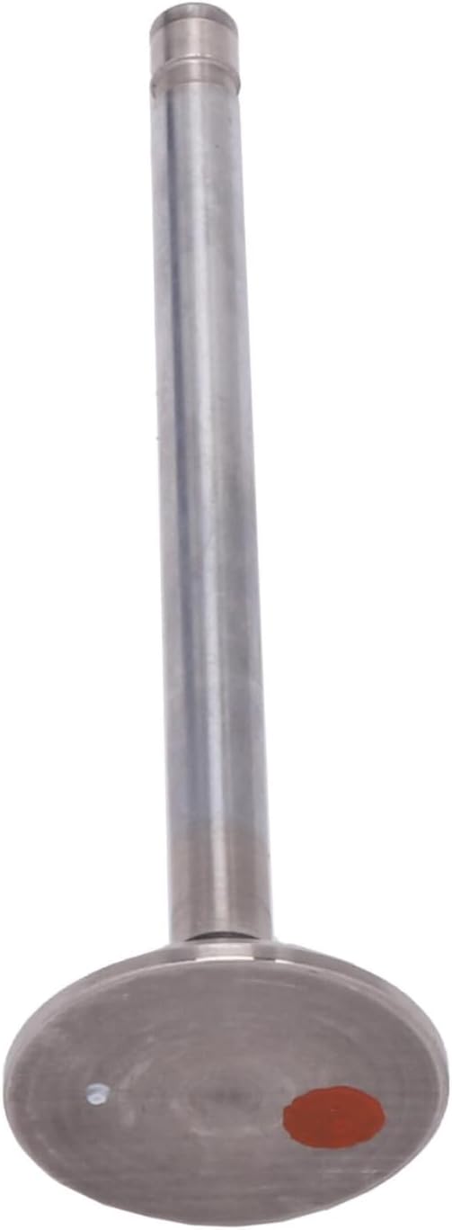 GM Genuine Parts 12552289 Engine Exhaust Valve