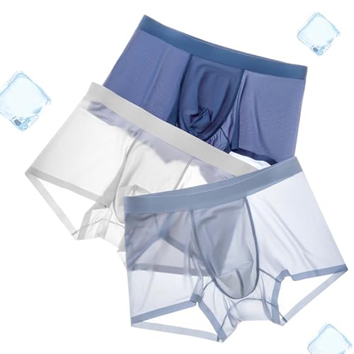 Ice Silk Men's Underwear Briefs See Thru Underwear Sexy Lingerie for Man2