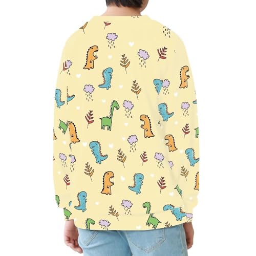 Boy Sweatshirts Cartoon Novelty Round Neck Pullover Dinosaur Graphic Tops Clothing Shirts 6-16T4