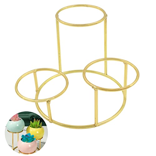 momgyaamz Support Plantes Succulentes Fleurs Métal - Porte Pot de Fleurs d'intérieur et d'extérieur, pour Plantes Cactus Miniatures, Fleurs, succulentes, décoration Salon créative, 1 pièce, Or Cover