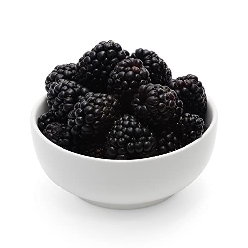 PRODUCE Sweetest Batch Blackberries, 10 OZ