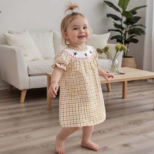 Toddler Baby Girl Thanksgiving Outfits Short Sleeve Turkey Embroidery Striped Smocked Dress Fall Photoshoot Clothes3