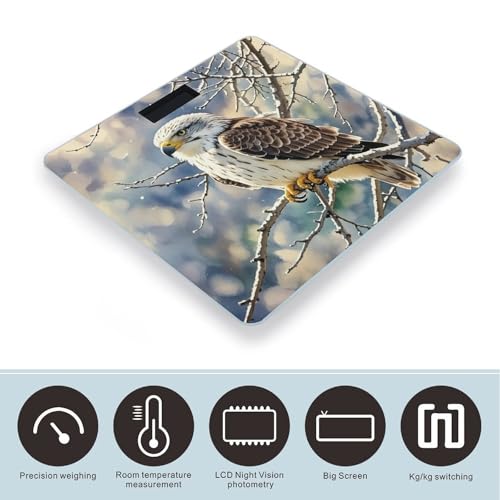 Báscula Digital de Vidrio Templado Hawk para Baño miniatura 3