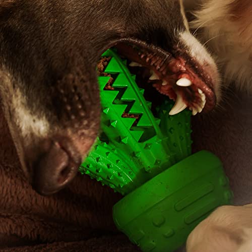 Dingo Hundespielzeug aus Hart Gummi TPR Kaktus 15 cm 17310