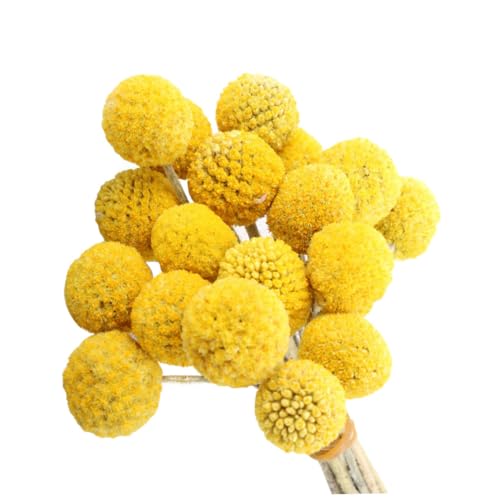 Bolas de flores secas decorativas amarillas pack 30 miniatura 1