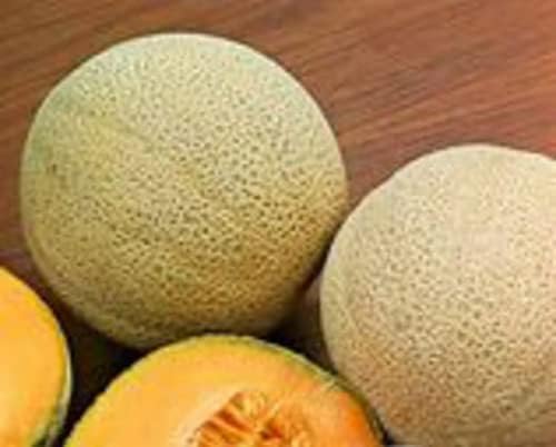 Melon Cantaloupe Hales Best Jumbo