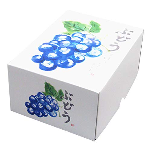 Amazon.co.jp: 横井パッケージ ぶどう用 ギフト箱 もぎたての