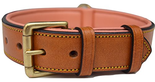 Soft Touch Collars Leather Dog Collar, Padded for Comfort, Large Tan and Coral, Real Genuine Luxury Leather