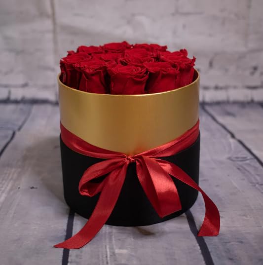 Rosas rojas preservadas en caja de 12 unidades, flores naturales duraderas para decoración
