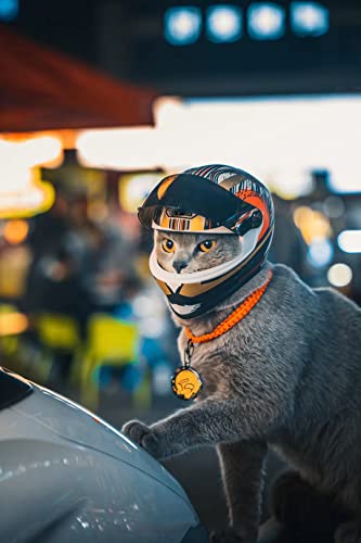 Haustier-Motorradhelm, Vollgesichts-Motorradhelm, Outdoor, Motorrad, Fahrrad, Reithelm, Hut für Katze, Hund, Hunde, Welpen, Kätzchen, Helm, Haustierbedarf, Sammlerstück, kleines Geschenk (Mehrfarbig)