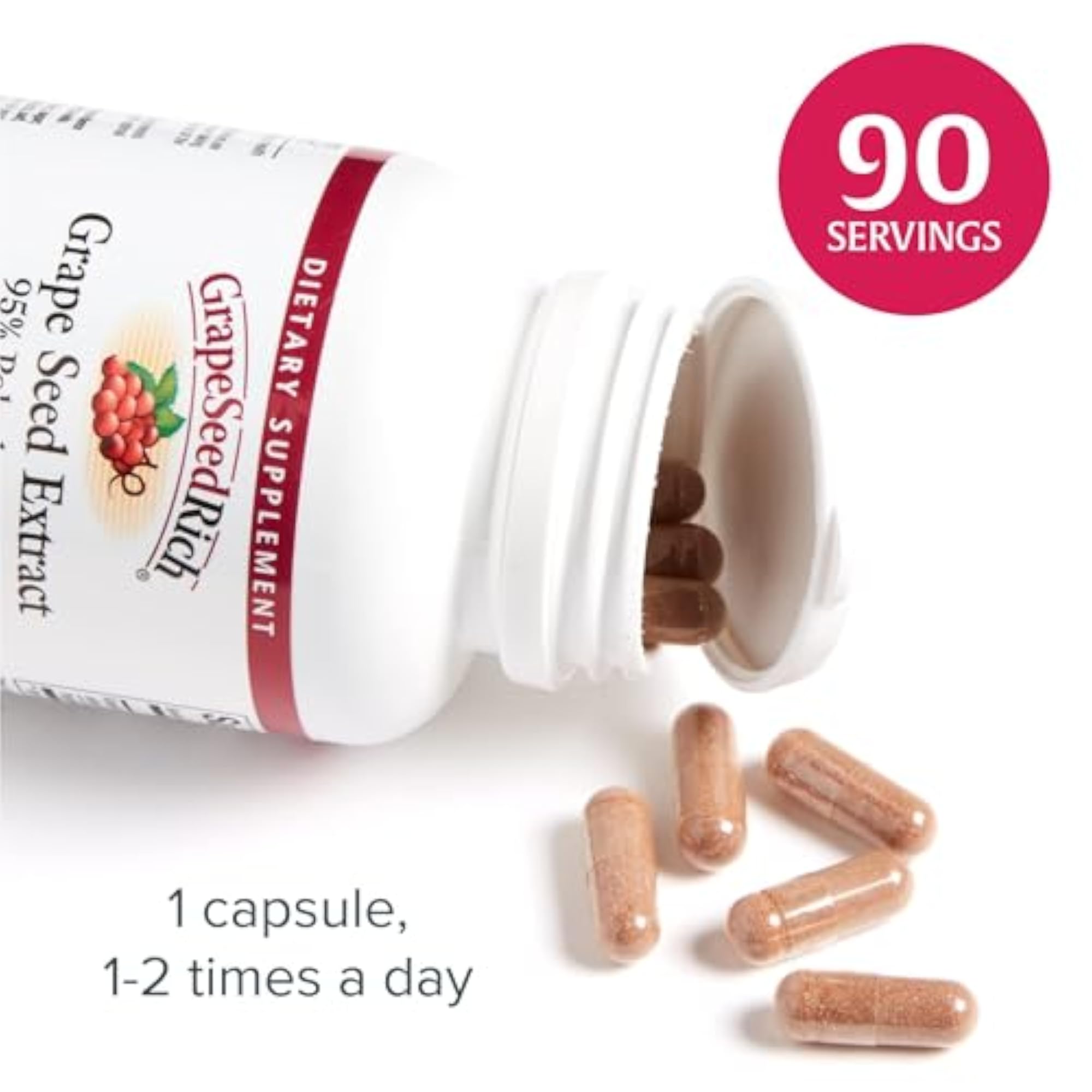 Natural Factors Grape Seed Extract, 100mg, 90 Count
