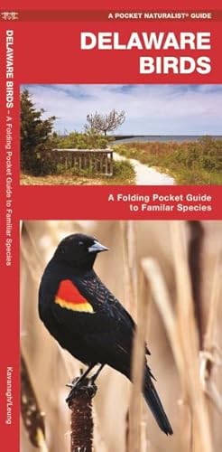 Delaware Birds: A Folding Pocket Guide To Familiar Species (Wildlife And Nature Identification) #TOP20