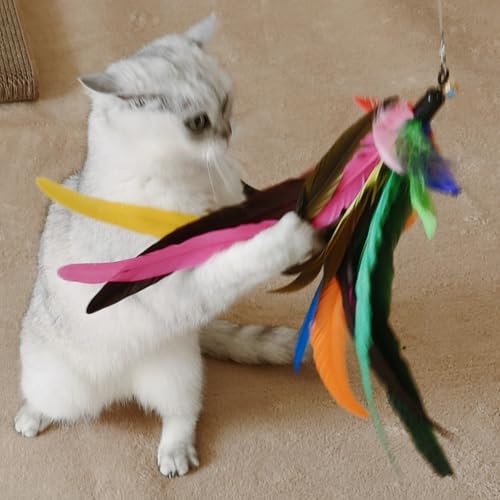 Miwoowim Cat Toy 2Pcs Ultra-Long Cat Teaser(50"+38")+9Pcs Da Bird Feather Refills,Cat Fishing Pole Toy,Interactive Cat Toys -Retractable Cat Wand Toy And Feather Toys Refills For Indoor Cats thumb #3