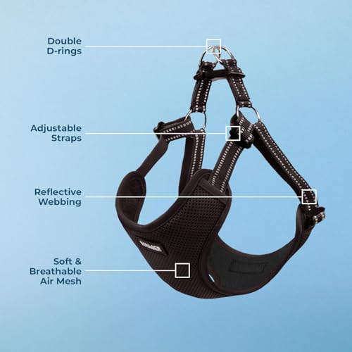 Voyager Pettorina per Cani Regolabile con Strisce Riflettenti by Best Pet Supplies - Resistente e Traspirante, con Anello a D per Guinzaglio, Nero, M