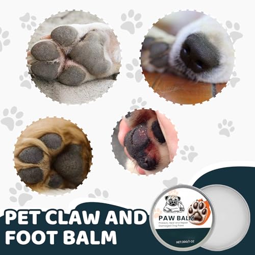 Pfotenbalsam für Hunde Katze 30 g, Pfotenpflege Hund Balsam, Pfotenschutz Hundepflege Katzenpflege, Nasenbalsam Hund, Hundepfoten Balsam für Traumapet Heilt Repariert Trockene Rissige Pfoten (30 G)