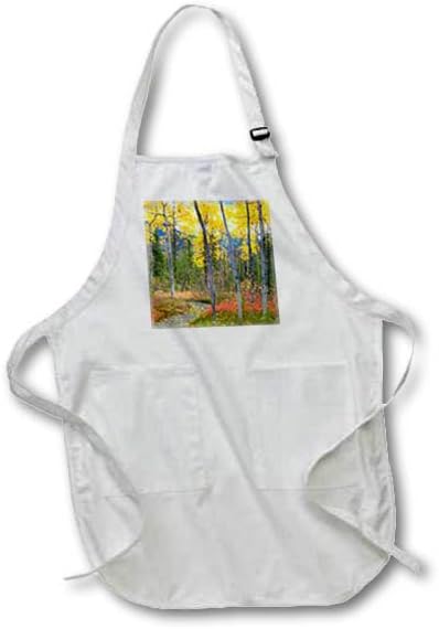 3dRose Alaska, Denali National Park. Path along a colorful fall landscape. - Aprons (apr-380709)