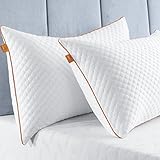 Maxzzz Bamboo Pillows 2 Pack, Pillows Queen Size for Sleeping Hotel Pillows with Down Alternative Premium Pillow with Removable Cover Bed Pillows, Suits for Side Back Sleepers Orange(18x30 Inch)