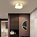 Produktbild N / A Erröten-Einfassung Runde Deckenleuchte Innen 12W 6000K White Light LED Golddeckenleuchte Perfekt für Indoor, Flur, Flur, Balkon, Garderobe, Garage usw.