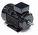 Marathon R321A 90L Frame Totally Enclosed Fan Cooled 90LT34FH6301 IEC Motor, 2.24 KW, 3600/3000 RPM, 230/460 VAC, 3 Phase, 2 Speeds, Ball Bearing, Rigid Base