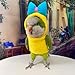 Bird Costume Bird Diaper Flight Suit Bird Clothes Cosplay Photo Prop for Parrots Parakeet Cockatiel Sun Conure, Bird Hoodie Small Animals Apparel (Tree, with Diaper,Blue Quaker)