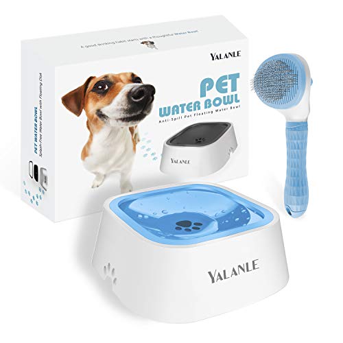 slow water feeder for dogs