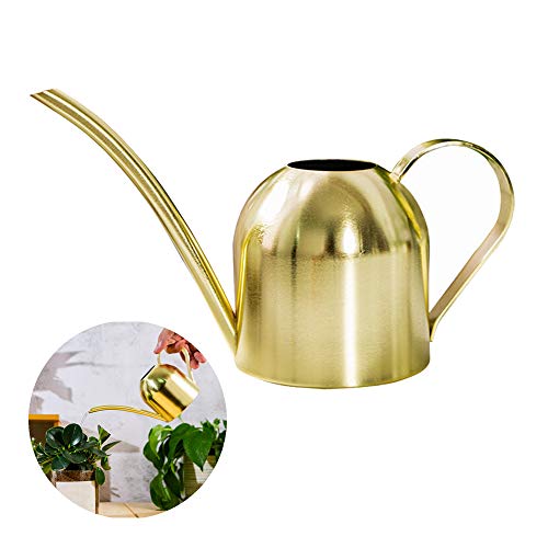 Gießkanne aus Edelstahl, klein, lange Öffnung, Gießkanne für Haus, Innen- und Außenbereich, Garten, Sukkulenten, 500 ml (Gold)