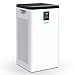 COLZER Air Purifier with True HEPA Air Filter, 3-Stage Filtration, for Spaces Up to 900 Sq Ft, Perfect for Bedroom/Home/Office with Filter