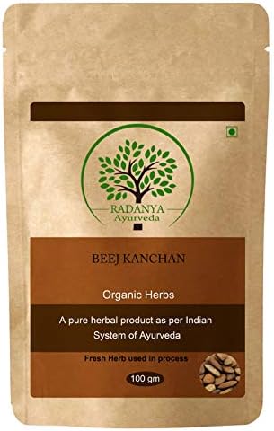 100% Natural Beej Kanchan | Michelia Champaca Seeds