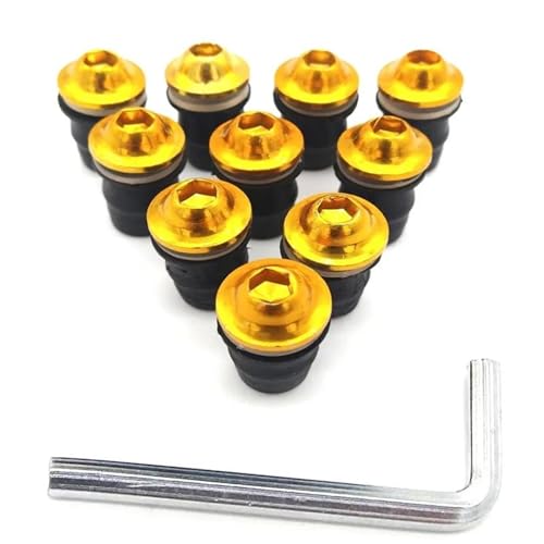 tFAO{gt@Xi[Nbv oCNp h t@Xi[{g ɓKCBR500R ɓKCB500F X ɓKGROM RC51 RVT1000 SP1 SP2p(Gold)